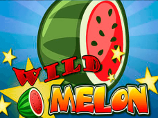 Wild Melon