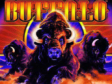 Buffalo Video Slot