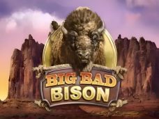 Big Bad Bison