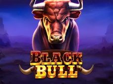 Black Bull