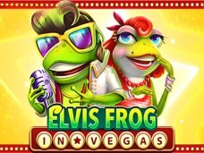 Elvis Frog in Vegas