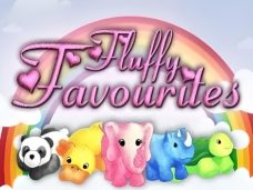 Fluffy Favourites