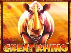 Great Rhino