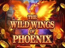 The Wild Wings of Phoenix