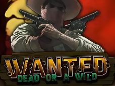 Wanted Dead or a Wild