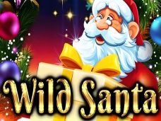 Wild Santa