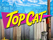 Top Cat