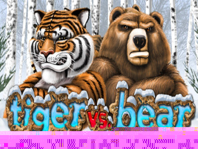 Tiger Vs Bear