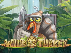 Wild Turkey