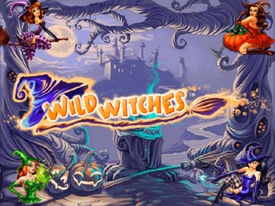 Wild Witches