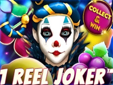 1 Reel Joker