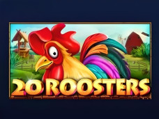 20 Roosters