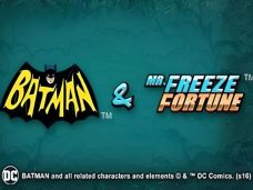 Batman & Mr Freeze Fortune