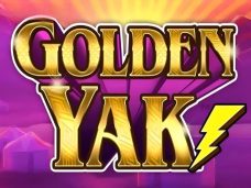 Golden Yak