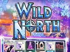 Wild North