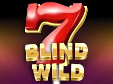 Blind Wild