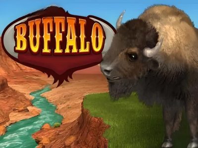 Buffalo Bingo