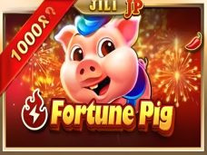 Fortune Pig