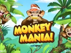 Monkey Mania