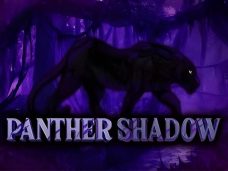 Panther Shadow