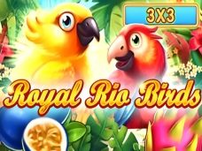 Royal Rio Birds