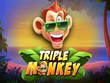 Triple Monkey