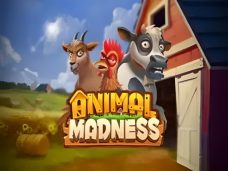 Animal Madness