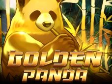 Golden Panda