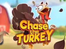 Chase The Turkey