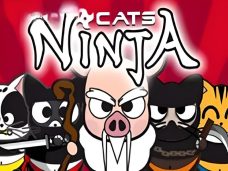 Ninja Cats