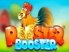 Rooster Booster