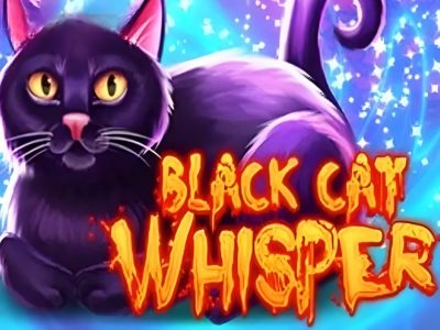 Black Cat Whisper