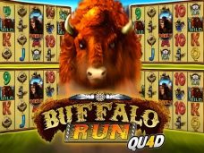 Buffalo Run Quad