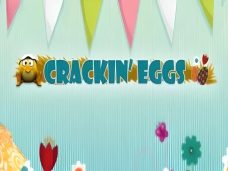 Crackin Eggs