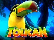 Toucan