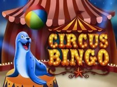 Bingo Circus