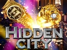 Hidden City