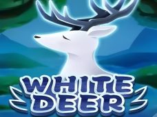 White Deer