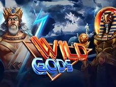 Wild Gods