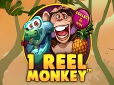 1 Reel Monkey