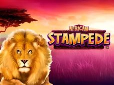 African Stampede