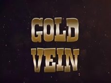 Gold Vein