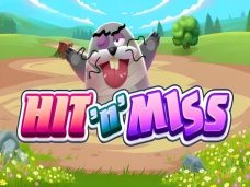 Hit N Miss