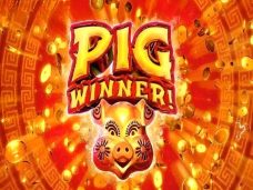 Pig Winner