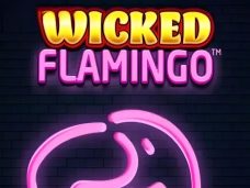 Wicked Flamingo