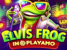 Elvis Frog In PlayAmo