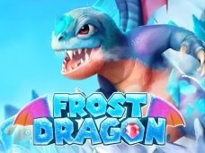 Frost Dragon