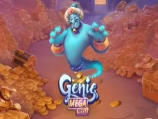 Genie Mega Reels