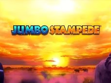 Jumbo Stampede