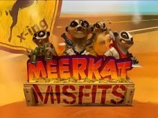 Meerkat Misfits